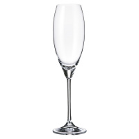 Crystalite Bohemia sklenice na šampaňské Carduelis 290 ml 1KS