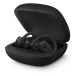 Powerbeats Pro Wireless Earphones - Black