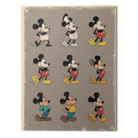 Obraz na plátně Mickey Mouse Evolution - Retro, 2 - 30×40 cm