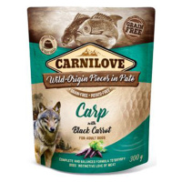 Carnilove Dog Pouch Paté Carp & Black Carrot 300g