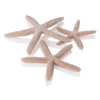 biOrb starfish Set 3 přírodní