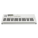 Waldorf Blofeld Keyboard