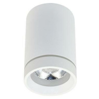 LED Stropní bodové přisazené svítidlo AZzardo Bill white AZ3375 10W 850lm 4000K IP20 6,5cm bílé