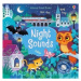 Night Sounds - Sam Taplin, Federica Iossa (ilustrácie) - kniha z kategorie Pro děti