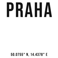 Ilustrace Praha simple coordinates, Finlay & Noa, (30 x 40 cm)