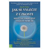 Jak se vyléčit z úzkosti, když vás nikdo jiný vyléčit nemůže - Amy B. Scher