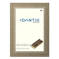 DANTIK rámeček 20 × 30, LYON stříbrný sklo čiré