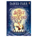 The Secret of the Blood-Red Key - David Farr - kniha z kategorie Fantasy