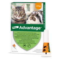 Advantage Malé Kočky 40 mg + králíci Spot-on 4 x 0.4 ml
