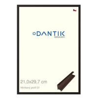 DANTIK rámeček 21 × 29,7, ALU profil 7001 Hnědý matný sklo čiré