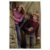 Umělecký tisk Harry Potter - Famous trio, 26.7x40 cm