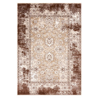 Hnědý koberec 133x190 cm Terno Brown – FD