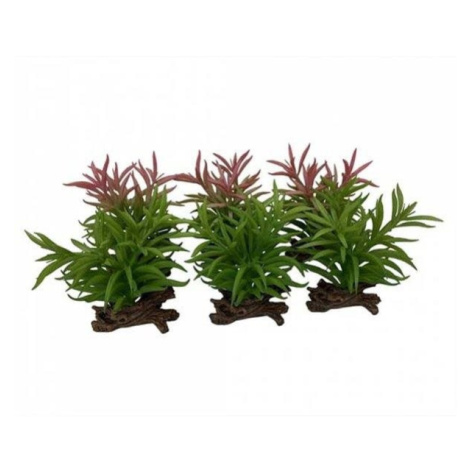 Ebi Terra Della Rostlina umělá Crassula mix barev 16 cm