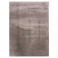 Berfin Dywany Kusový koberec Microsofty 8301 Brown - 80x150 cm