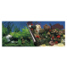 Ebi Photo Decor Stone + Coral  60 x 30cm