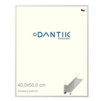 DANTIK rámeček 40 × 50, ALU profil 6001 Stříbrný lesklý plexi čiré