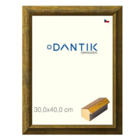 DANTIK rámeček 30 × 40, Forgia Gold plexi čiré