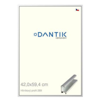 DANTIK rámeček 42 × 59,4, ALU profil 7269 Stříbrný lesklý plexi čiré