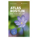 Atlas rostlin - Kvetoucí byliny GRADA Publishing, a. s.