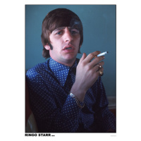 Plakát, Obraz - The Beatles - Ringo Starr, (59.4 x 84.1 cm)