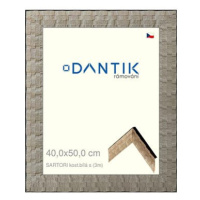 DANTIK rámeček 40 × 50, SARTORI kost.bílý s sklo čiré