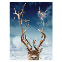 Fotografie Reindeer's antlers decorated with baubles, close-up, Coneyl Jay, 30 × 40 cm