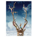 Fotografie Reindeer's antlers decorated with baubles, close-up, Coneyl Jay, 30x40 cm