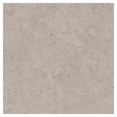 Dlažba Pastorelli Biophilic grey 60x60 cm mat P009459