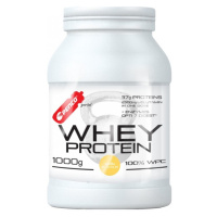 PENCO Whey protein vanilka 1000 g