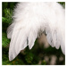 Andělská křídla z peří 18 x 16 cm bílá, sada 12 ks
