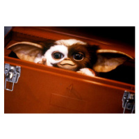 Fotografie Gremlins by Joe Dante, 1984, (40 x 26.7 cm)