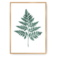 Dekoria Plakát Fern Emerald Green, 40 x 50 cm, Ramka: Złota