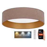 Brilagi Brilagi - LED Stmívatelné svítidlo VELVET SMART LED/36W/230V Wi-Fi Tuya + DO