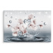 Plátno Květy Magnólie s 3D Kapkami Vody Varianta: 40x30