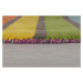 Flair Rugs koberce Ručně tkaný běhoun Illusion Candy Multi - 60x300 cm