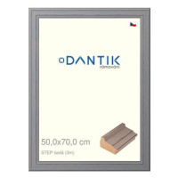 DANTIK rámeček 50 × 70, STEP šedý plexi čiré