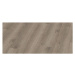 Oneflor Vinylová podlaha lepená ECO 30 062 Noble Oak Greige  - dub - Lepená podlaha