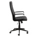 Dkton Kancelářská židle Triston černá koženka