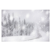 Ilustrace Snowflakes on icy empty road in, Roberto Moiola / Sysaworld, (40 x 26.7 cm)