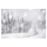 Ilustrace Snowflakes on icy empty road in, Roberto Moiola / Sysaworld, 40 × 26.7 cm