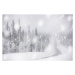 Ilustrace Snowflakes on icy empty road in, Roberto Moiola / Sysaworld, 40 × 26.7 cm