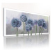 Obraz na plátně GARLIC FLOWER E různé rozměry Ludesign ludesign obrazy: 120x50 cm