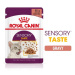 Royal Canin Sensory Taste - vlhké krmivo v omáčce pro dospělé kočky 12 x 85 g