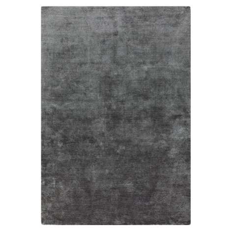 Tmavě šedý koberec 120x170 cm Milo – Asiatic Carpets