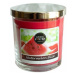 CANDLE LITE Living Colors Watermelon Slice 141 g