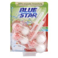 Blue Star ProNature WC blok Grep 2 x 50 g