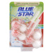 Blue Star ProNature WC blok Grep 2 x 50 g