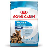 Royal Canin Maxi Starter Mother & Babydog - 4 kg