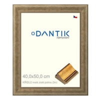 DANTIK rámeček 40 × 50, KŘÍDLO malé zlaté patina plexi čiré