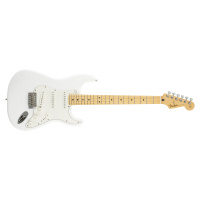 Fender Player Stratocaster MN PWT